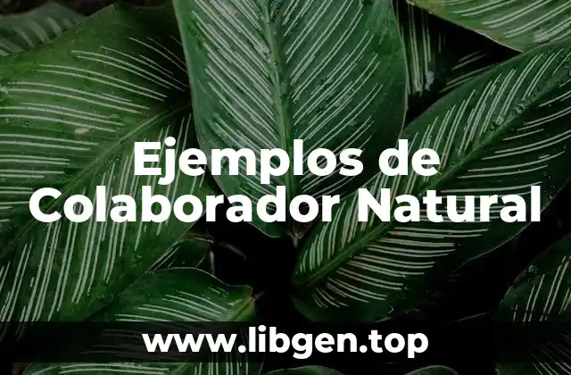 Ejemplos de Colaborador Natural