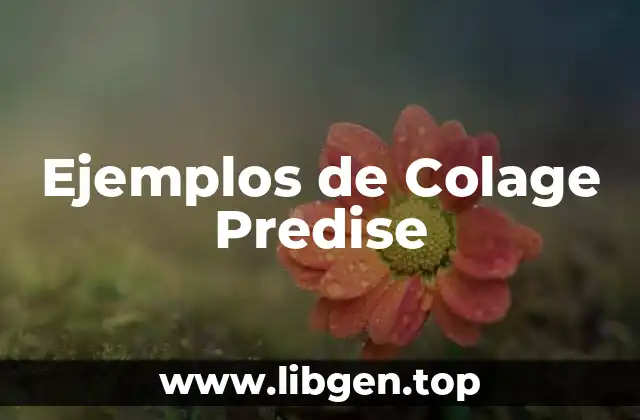 Ejemplos de Colage Predise