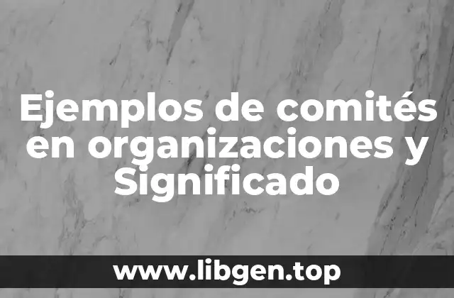 Ejemplos de comités en organizaciones y Significado