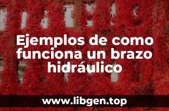 Ejemplos de como funciona un brazo hidráulico