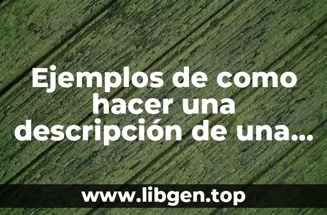 Ejemplos de como hacer una descripción de una persona y Significado