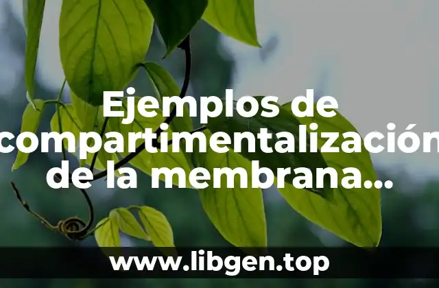 Ejemplos de compartimentalización de la membrana plasmática