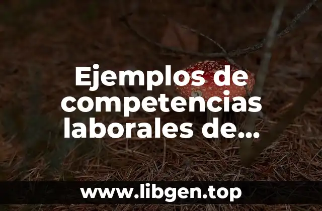 Ejemplos de competencias laborales de experiencia profesional en psicología