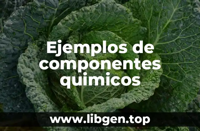 Ejemplos de componentes quimicos