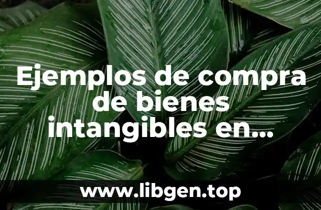Ejemplos de compra de bienes intangibles en México y Significado