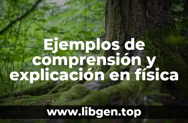 Ejemplos de comprensión y explicación en física