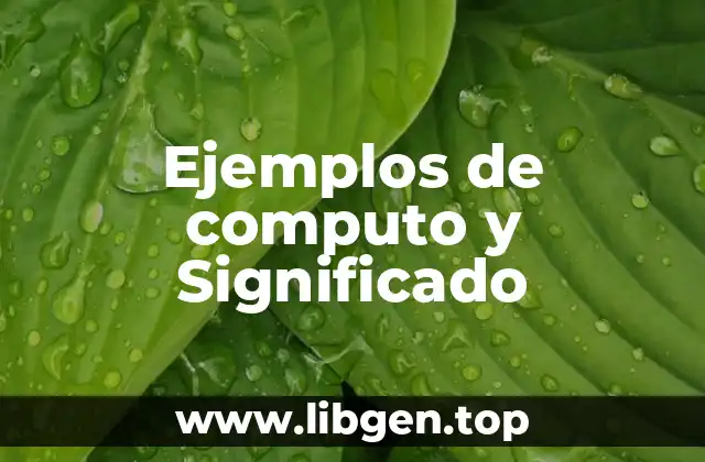 Ejemplos de computo y Significado