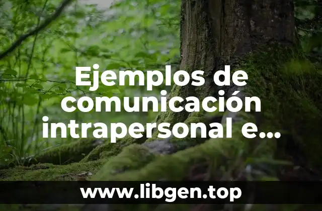 Ejemplos de comunicación intrapersonal e interpersonal