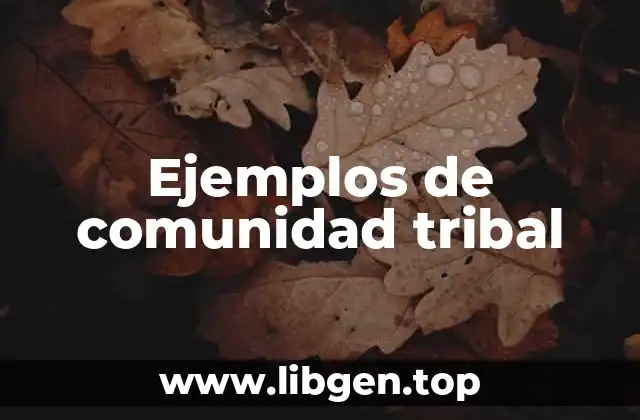 Ejemplos de comunidad tribal