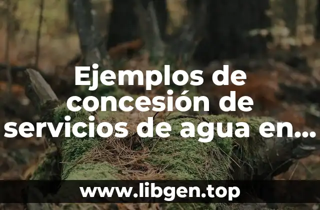 Ejemplos de concesión de servicios de agua en Canada