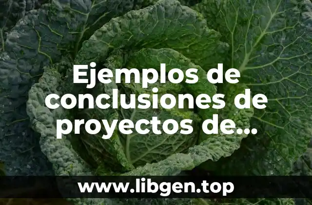 Ejemplos de conclusiones de proyectos de inversión