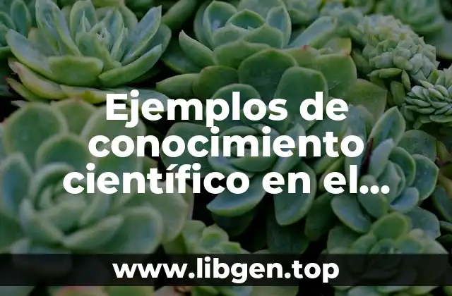 Ejemplos de conocimiento científico en el hogar