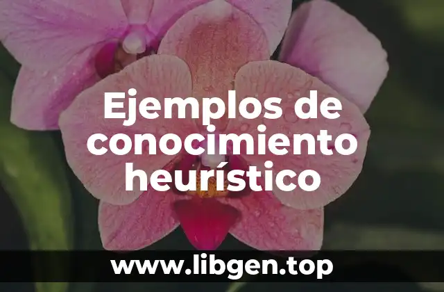 Ejemplos de conocimiento heurístico