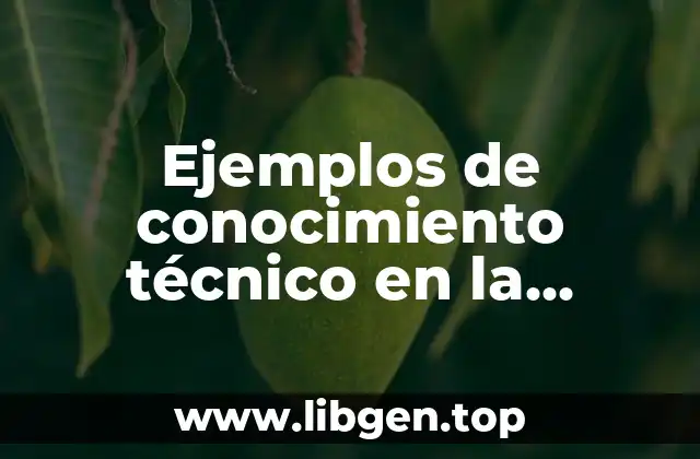 Ejemplos de conocimiento técnico en la administración