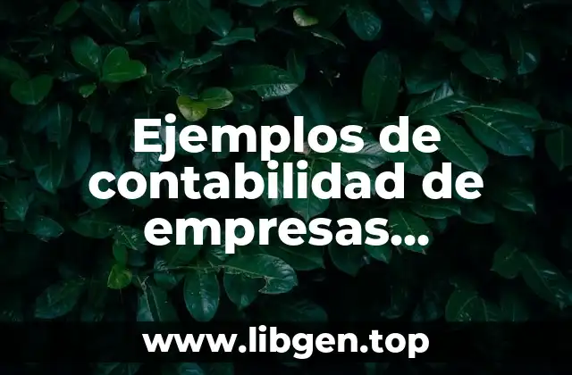 Ejemplos de contabilidad de empresas extractivas