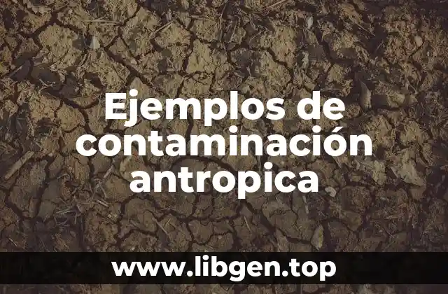 Ejemplos de contaminación antropica