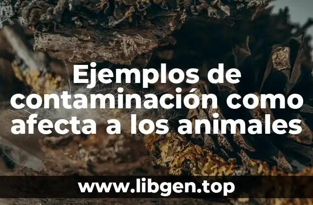 Ejemplos de contaminación como afecta a los animales