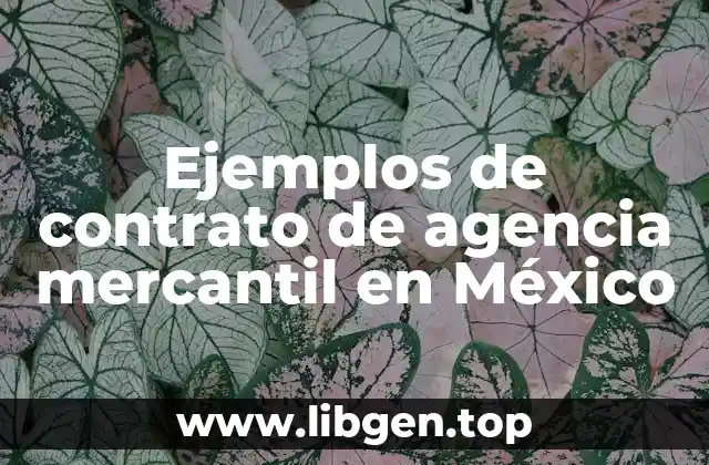 Ejemplos de contrato de agencia mercantil en México