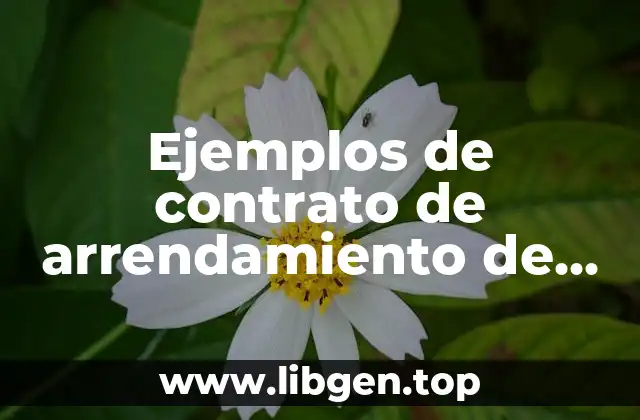 Ejemplos de contrato de arrendamiento de vivienda simple y Significado