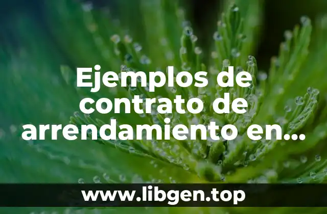 Ejemplos de contrato de arrendamiento en Colombia precio por piso