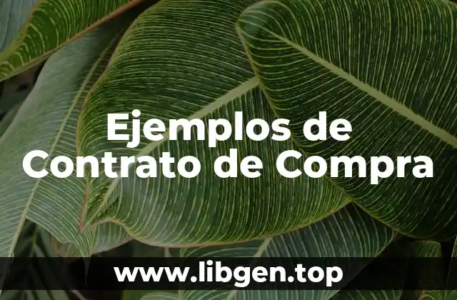 Ejemplos de Contratos de Compra-Venta