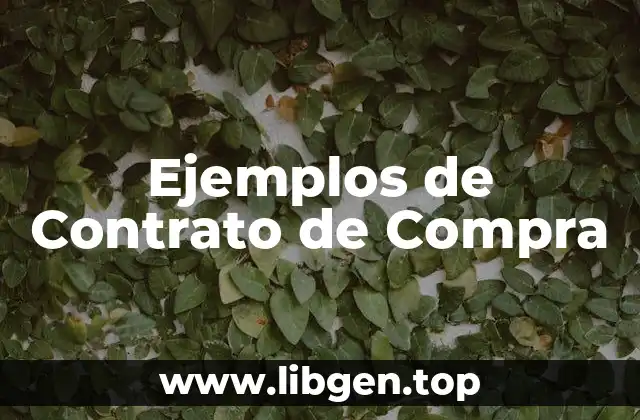 Ejemplos de Contratos de Compra-Venta Lleno