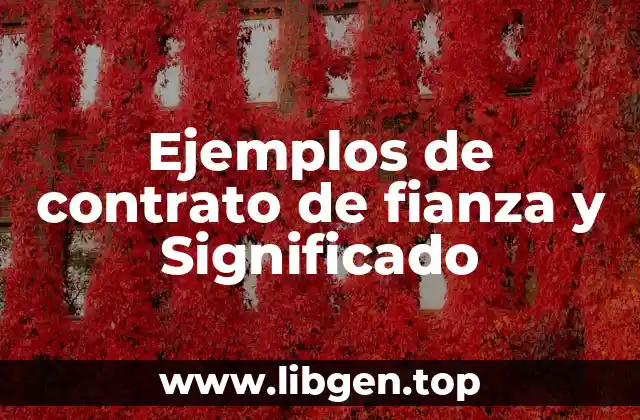 Ejemplos de contrato de fianza y Significado