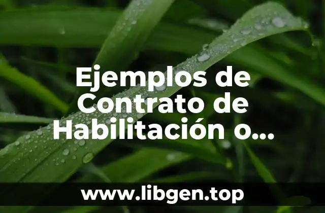 Ejemplos de Contrato de Habilitación o Aviación