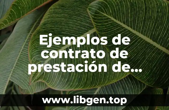 Ejemplos de contrato de prestación de servicios en México