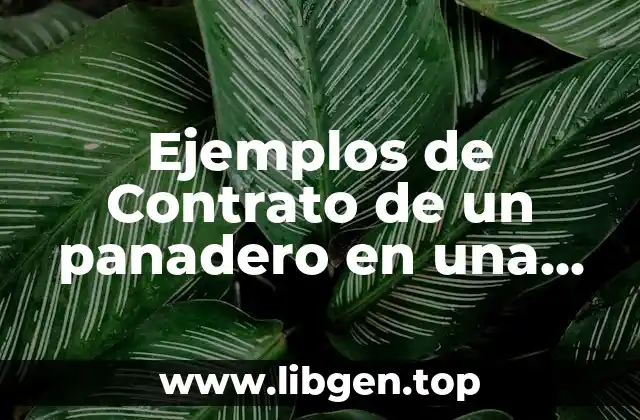 Ejemplos de contratos de panaderos en panaderías