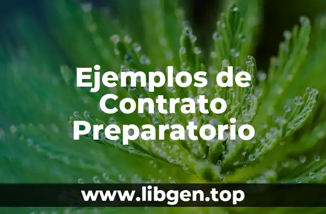Ejemplos de Contrato Preparatorio