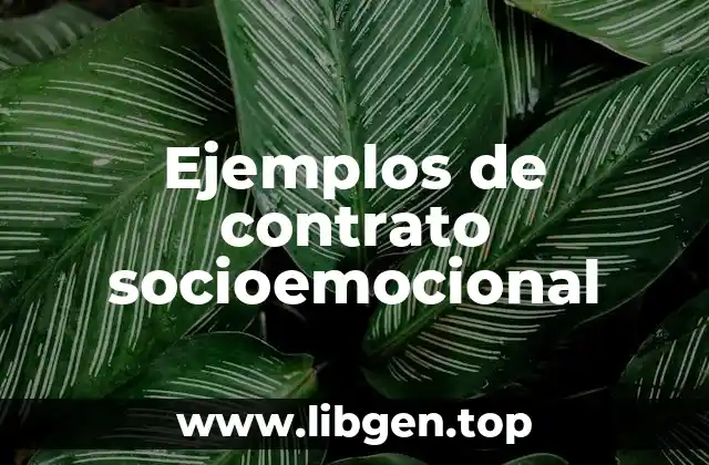 Ejemplos de contrato socioemocional