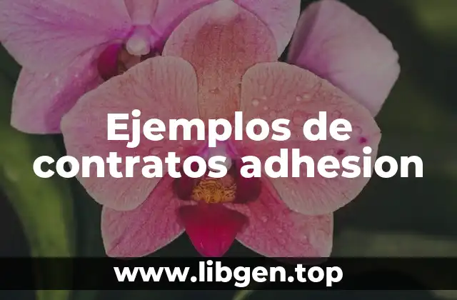 Ejemplos de contratos adhesion