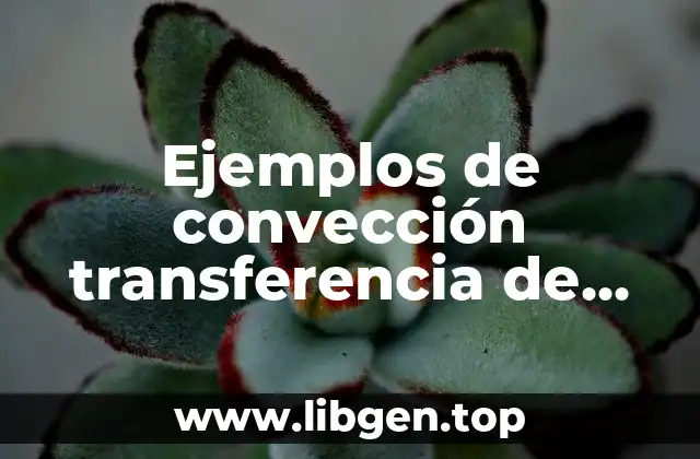 Ejemplos de convección transferencia de calor