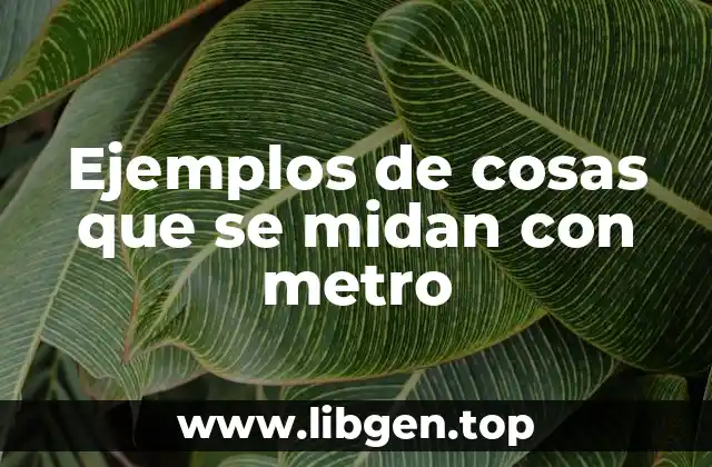 Ejemplos de cosas que se midan con metro