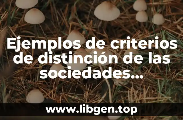 Ejemplos de criterios de distinción de las sociedades mercantiles
