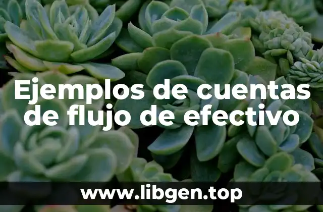 Ejemplos de cuentas de flujo de efectivo