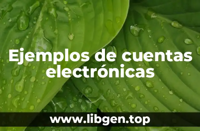 Ejemplos de cuentas electrónicas