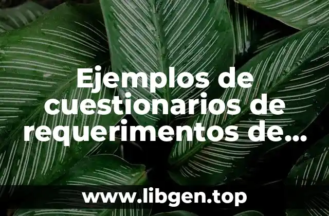Ejemplos de cuestionarios de requerimentos de sitios web