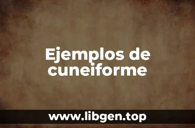 Ejemplos de cuneiforme
