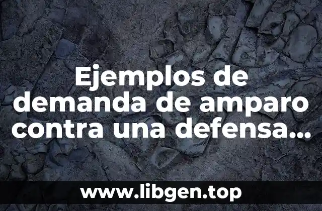 Ejemplos de demanda de amparo contra una defensa adecuada