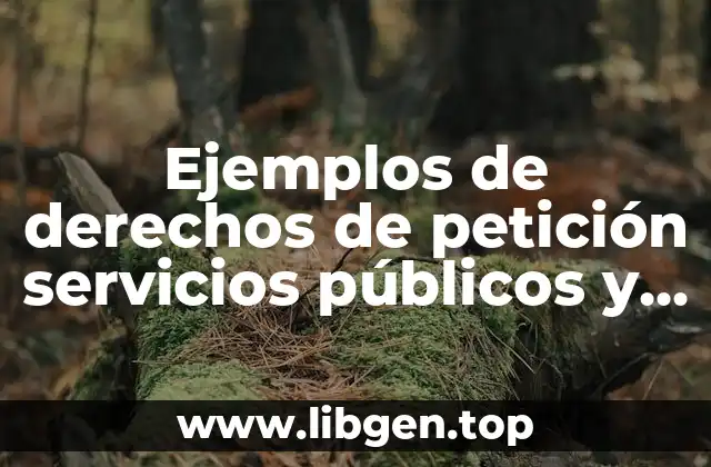 Ejemplos de derechos de petición servicios públicos y Significado