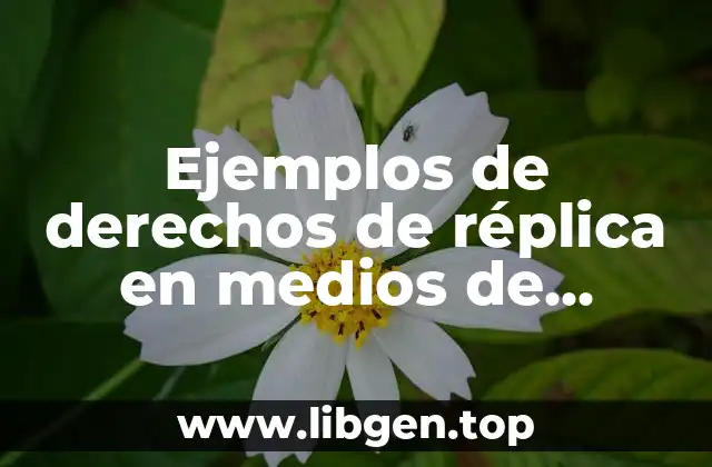 Ejemplos de derechos de réplica en medios de comunicación