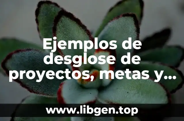 Ejemplos de desglose de proyectos, metas y montos en psicología