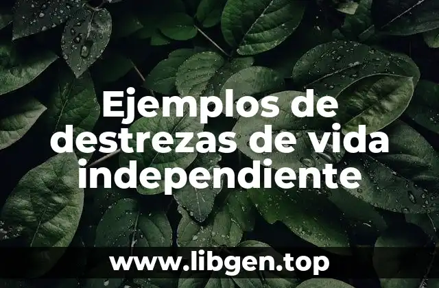 Ejemplos de destrezas de vida independiente
