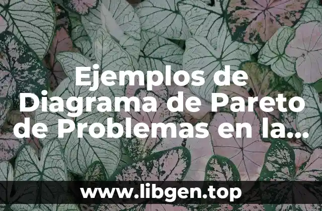 Ejemplos de Diagrama de Pareto de Problemas en la Empresa