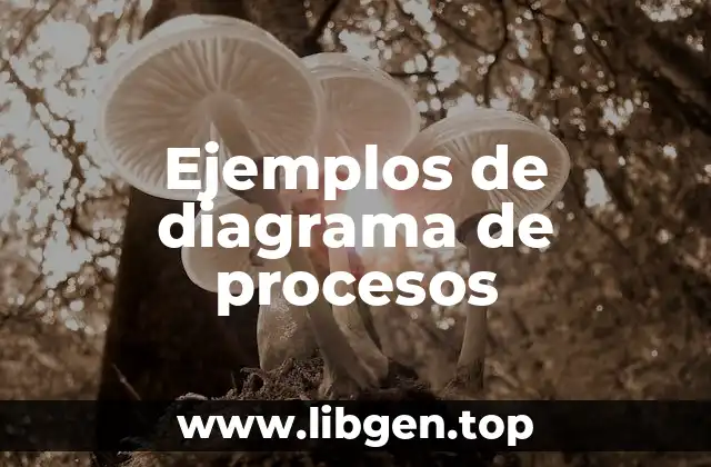 Ejemplos de diagrama de procesos