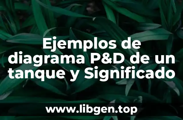 Ejemplos de diagrama P&D de un tanque y Significado