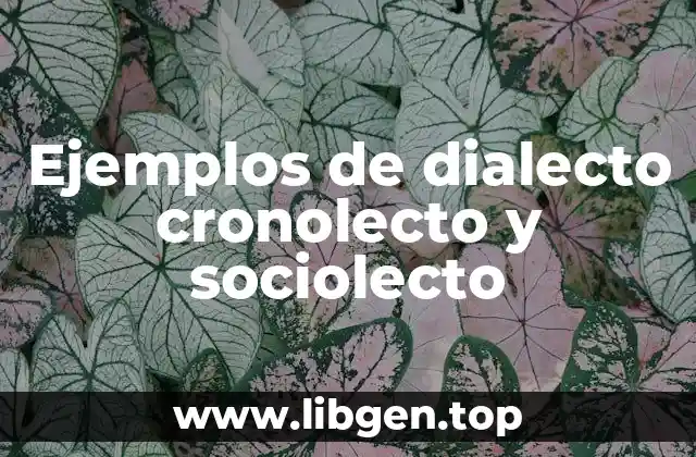 Ejemplos de dialecto, cronolecto y sociolecto