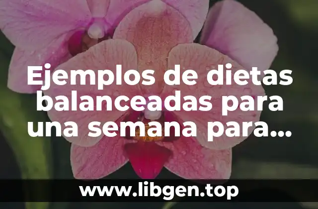 Ejemplos de dietas balanceadas para una semana para adultos y Significado
